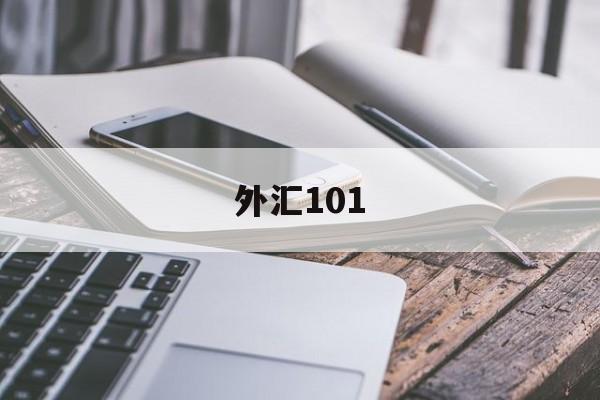 外汇101(外汇1011发票号)